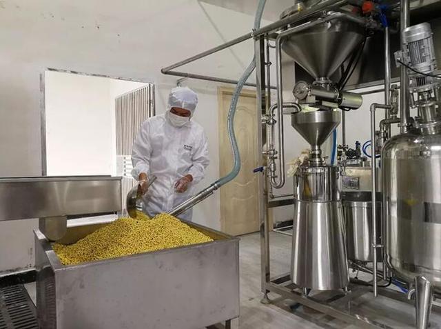 布兰奇全智能蒸汽能机助力豆制品厂:每天800kg黄豆制成豆制品
