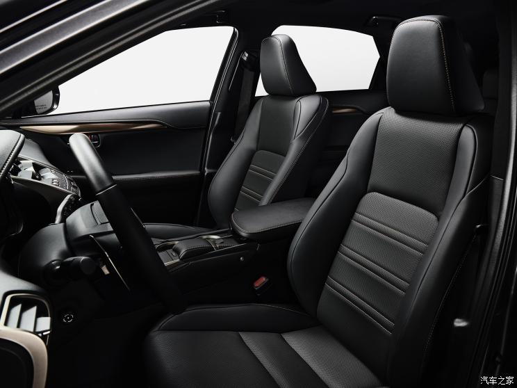 雷克萨斯 雷克萨斯NX 2020款 Black Line特别版