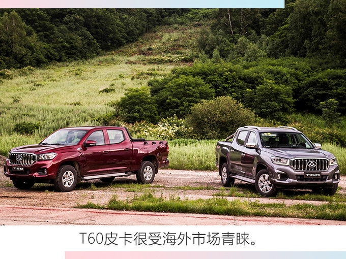 上汽大通2019销量猛增42.85 连续5个月破万-图5