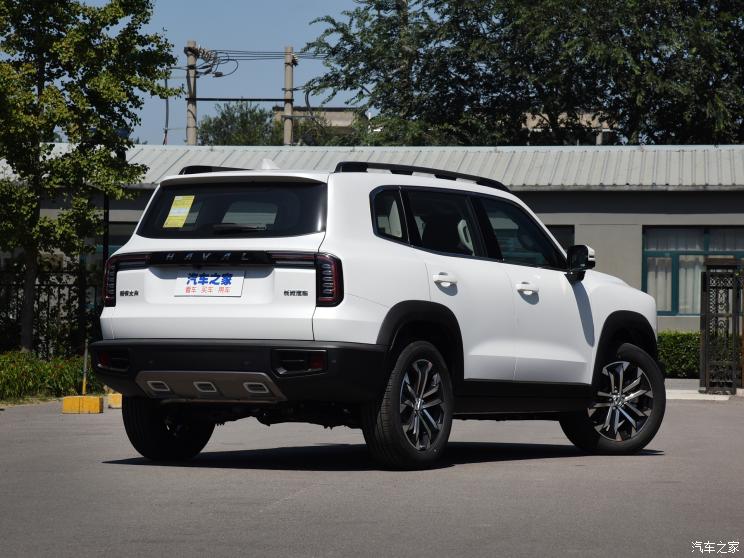 长城汽车 哈弗大狗 2020款 1.5T DCT边牧版