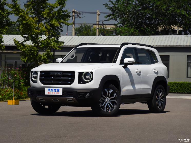 长城汽车 哈弗大狗 2020款 1.5T DCT边牧版